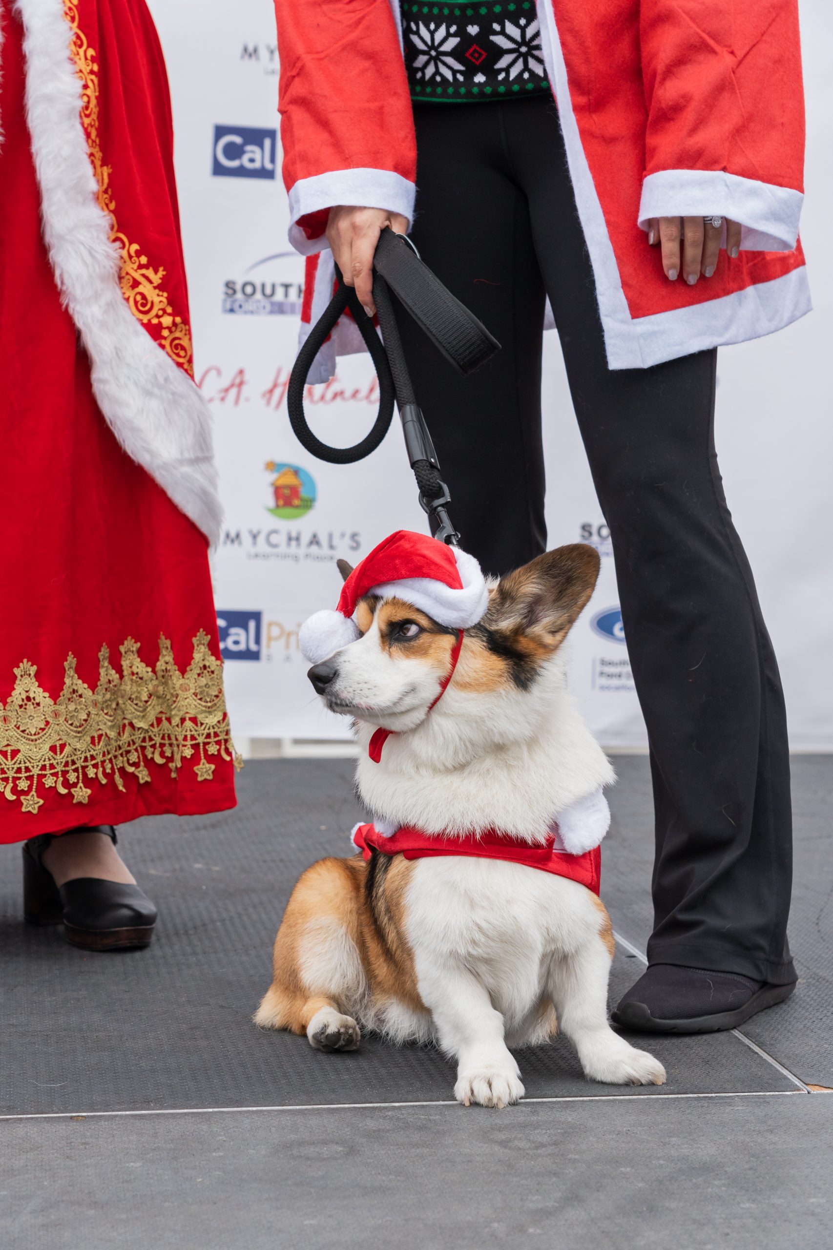 Mychals Santa Stroll - Ledesma Studios-1107